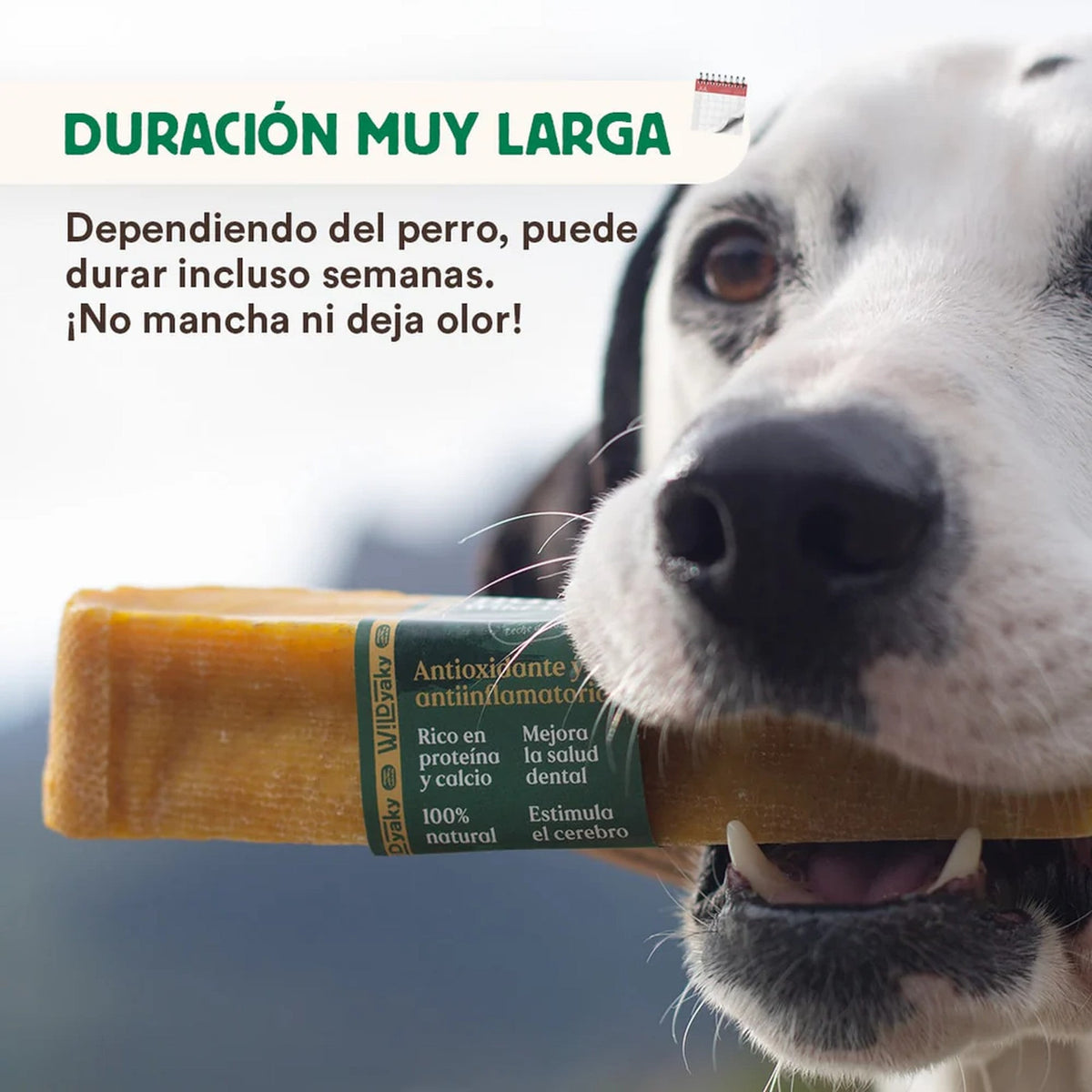Wild Balance barrita de leche de yak del Himalaya con cúrcuma