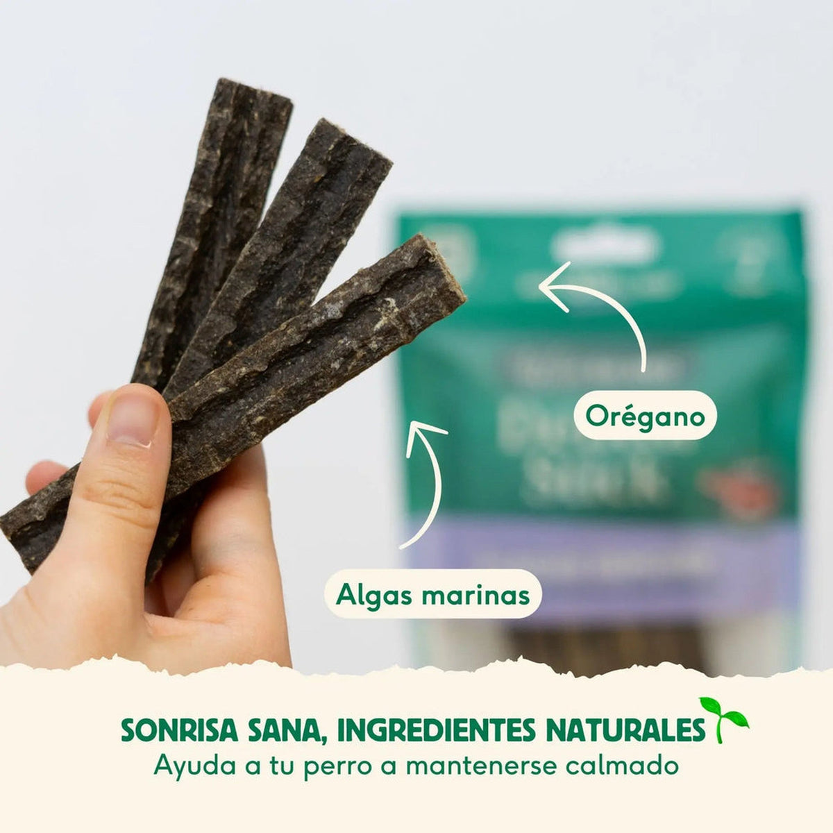 Wild Balance sticks dentales Plaque Remover