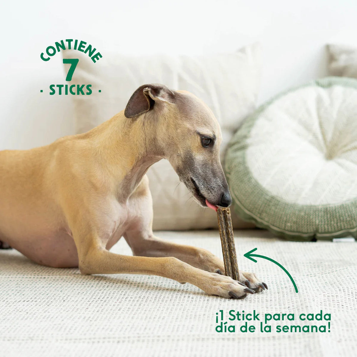 Wild Balance sticks dentales Sensitive Stomach