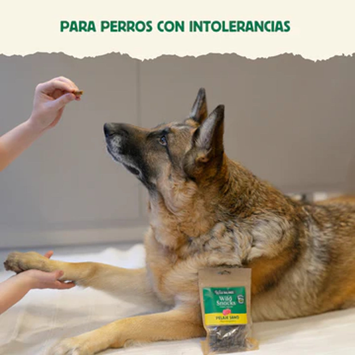 Wild Balance Wild Snacks pelaje sano de venado